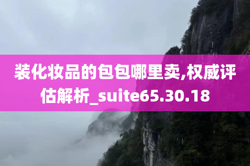 装化妆品的包包哪里卖,权威评估解析_suite65.30.18