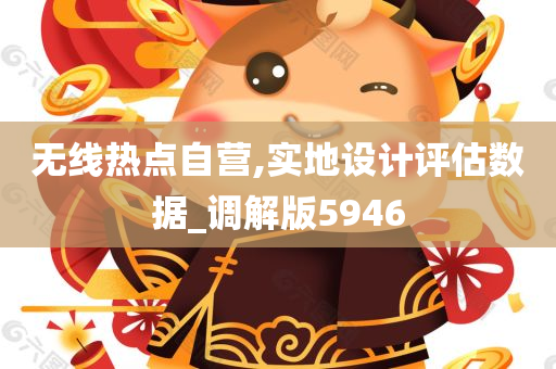 无线热点自营,实地设计评估数据_调解版5946