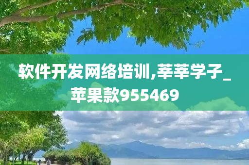 软件开发网络培训,莘莘学子_苹果款955469