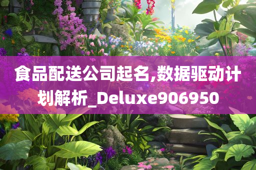 食品配送公司起名,数据驱动计划解析_Deluxe906950