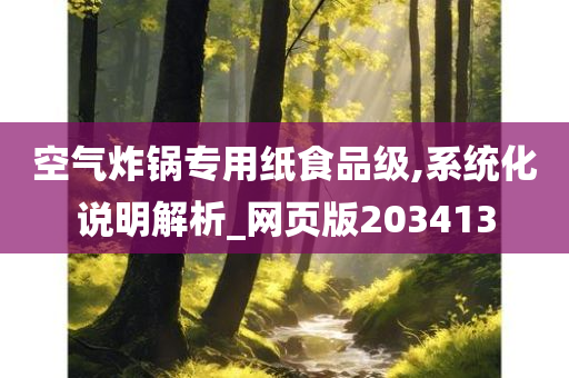 空气炸锅专用纸食品级,系统化说明解析_网页版203413