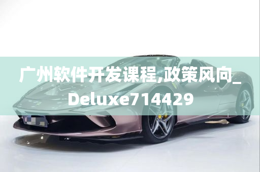 广州软件开发课程,政策风向_Deluxe714429