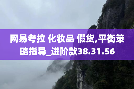 网易考拉 化妆品 假货,平衡策略指导_进阶款38.31.56