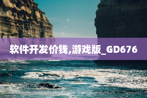 软件开发价钱,游戏版_GD676