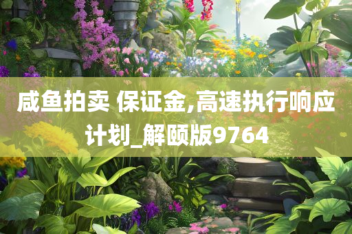 咸鱼拍卖 保证金,高速执行响应计划_解颐版9764