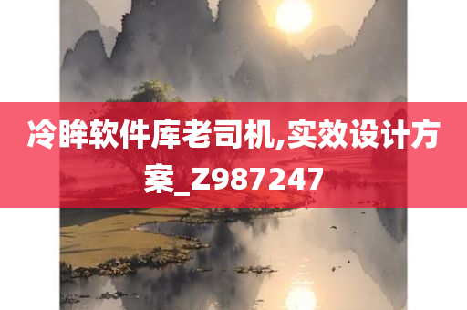 冷眸软件库老司机,实效设计方案_Z987247