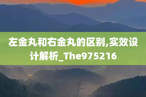 左金丸和右金丸的区别,实效设计解析_The975216