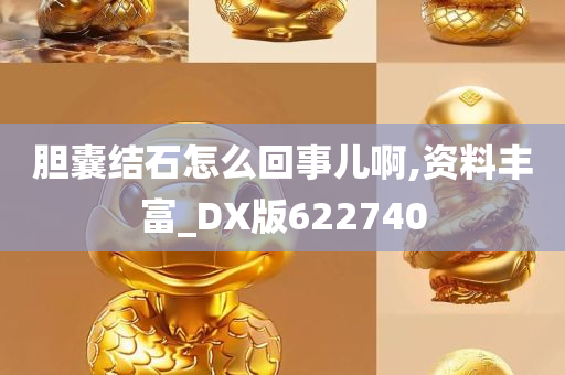 胆囊结石怎么回事儿啊,资料丰富_DX版622740