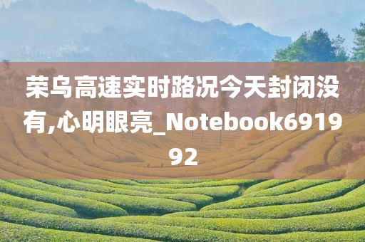 荣乌高速实时路况今天封闭没有,心明眼亮_Notebook691992