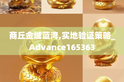 商丘金域蓝湾,实地验证策略_Advance165363