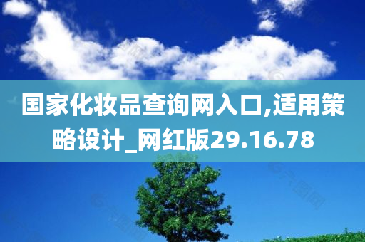 国家化妆品查询网入口,适用策略设计_网红版29.16.78