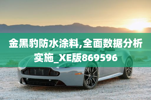 金黑豹防水涂料,全面数据分析实施_XE版869596