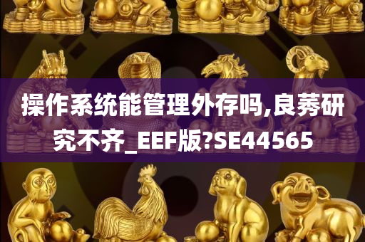 操作系统能管理外存吗,良莠研究不齐_EEF版?SE44565