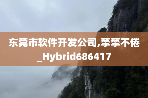 东莞市软件开发公司,孳孳不倦_Hybrid686417