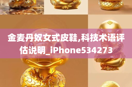 金麦丹奴女式皮鞋,科技术语评估说明_iPhone534273