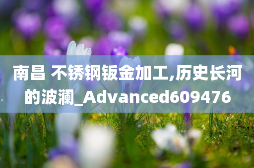 南昌 不锈钢钣金加工,历史长河的波澜_Advanced609476