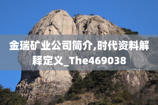 金瑞矿业公司简介,时代资料解释定义_The469038