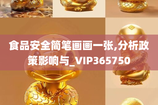 食品安全简笔画画一张,分析政策影响与_VIP365750