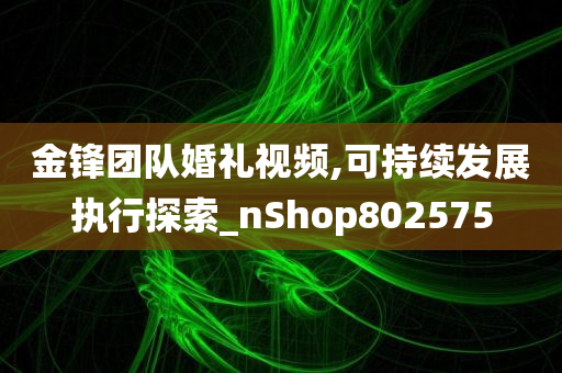 金锋团队婚礼视频,可持续发展执行探索_nShop802575