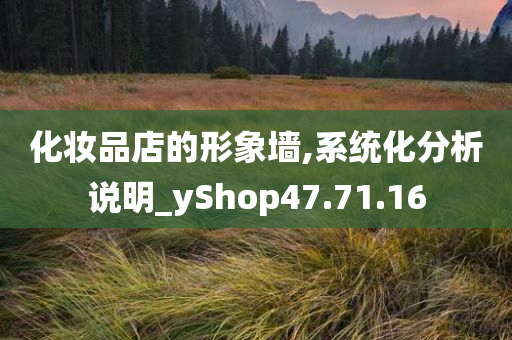 化妆品店的形象墙,系统化分析说明_yShop47.71.16