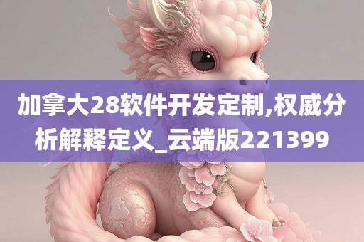 加拿大28软件开发定制,权威分析解释定义_云端版221399