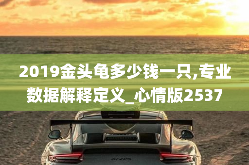 2019金头龟多少钱一只,专业数据解释定义_心情版2537