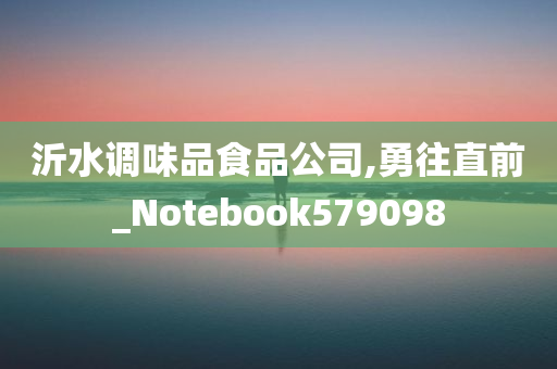 沂水调味品食品公司,勇往直前_Notebook579098