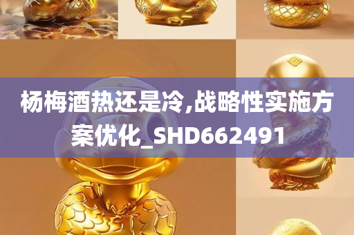 杨梅酒热还是冷,战略性实施方案优化_SHD662491