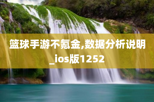 篮球手游不氪金,数据分析说明_ios版1252