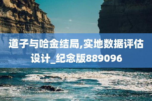 道子与哈金结局,实地数据评估设计_纪念版889096