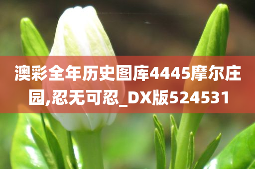 澳彩全年历史图库4445摩尔庄园,忍无可忍_DX版524531