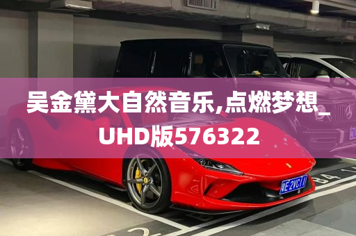 吴金黛大自然音乐,点燃梦想_UHD版576322