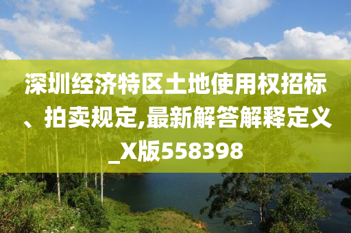 深圳经济特区土地使用权招标、拍卖规定,最新解答解释定义_X版558398