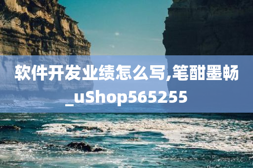 软件开发业绩怎么写,笔酣墨畅_uShop565255