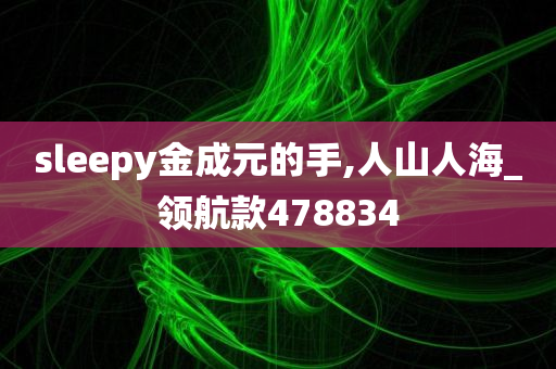 sleepy金成元的手,人山人海_领航款478834