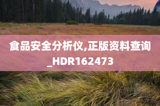 食品安全分析仪,正版资料查询_HDR162473