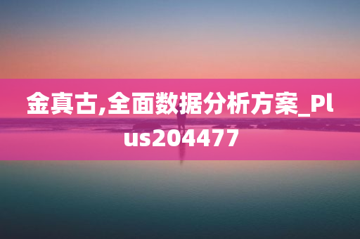 金真古,全面数据分析方案_Plus204477