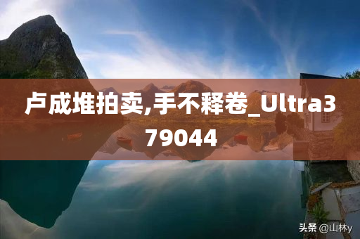 卢成堆拍卖,手不释卷_Ultra379044