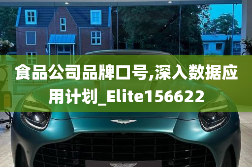 食品公司品牌口号,深入数据应用计划_Elite156622