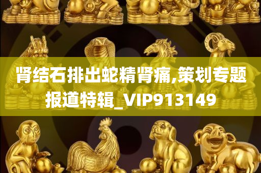 肾结石排出蛇精肾痛,策划专题报道特辑_VIP913149