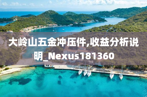 大岭山五金冲压件,收益分析说明_Nexus181360