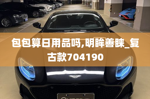 包包算日用品吗,明眸善睐_复古款704190