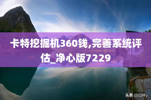 卡特挖掘机360钱,完善系统评估_净心版7229