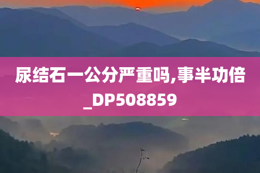 尿结石一公分严重吗,事半功倍_DP508859