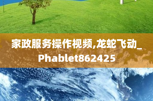 家政服务操作视频,龙蛇飞动_Phablet862425