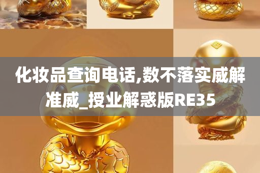 化妆品查询电话,数不落实威解准威_授业解惑版RE35