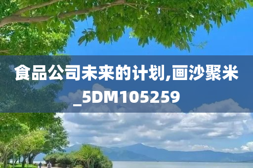 食品公司未来的计划,画沙聚米_5DM105259