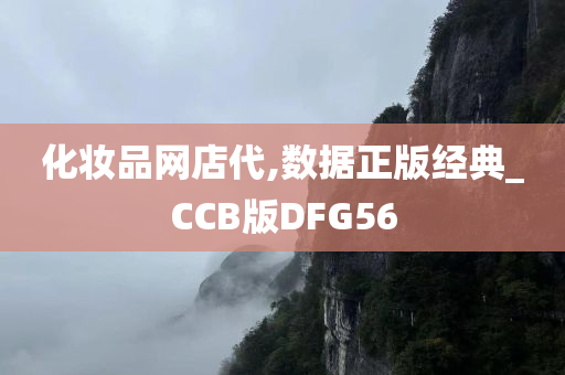 化妆品网店代,数据正版经典_CCB版DFG56