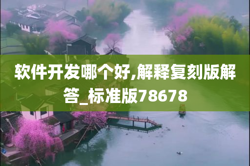 软件开发哪个好,解释复刻版解答_标准版78678