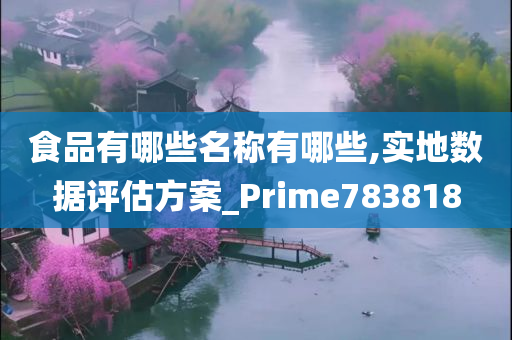 食品有哪些名称有哪些,实地数据评估方案_Prime783818